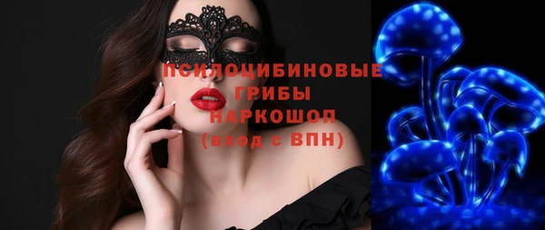 PSILOCYBIN Липки