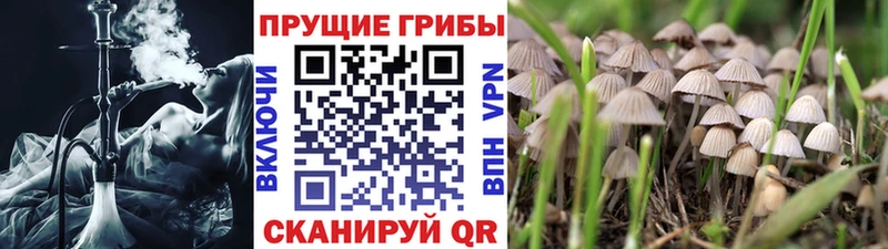 Галлюциногенные грибы GOLDEN TEACHER  Купить где  Сердобск 